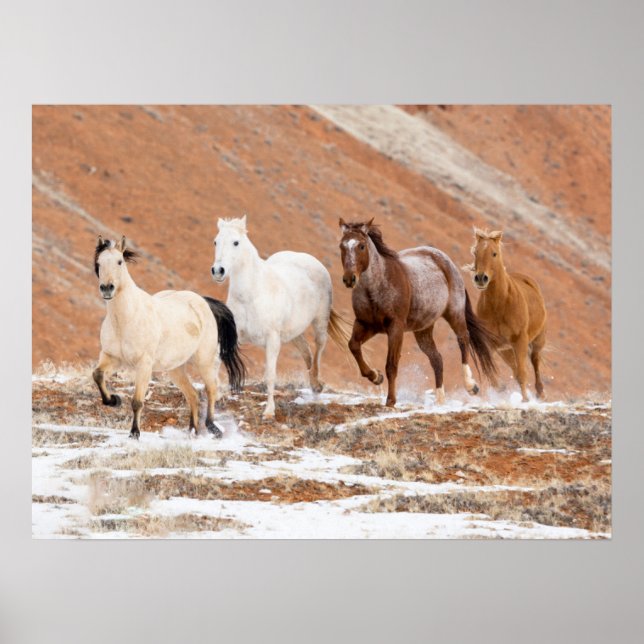 Poster  Ranch Hideout avec petit troupeau de chevaux dans (Devant)