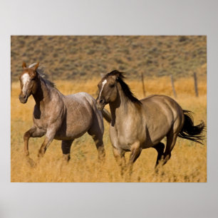 Poster Ranch Living at The Ponderosa Ranch