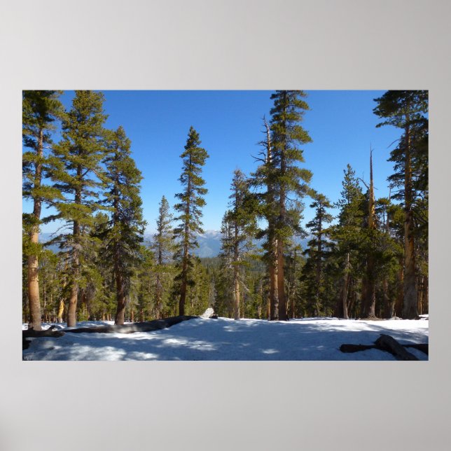 Poster Randonnée de Mitchell Peak à Sequoia (Devant)