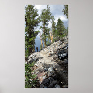 Poster Randonnée pédestre sur le sentier John Muir - Sier