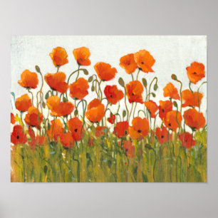 Poster Rangées de pavots I