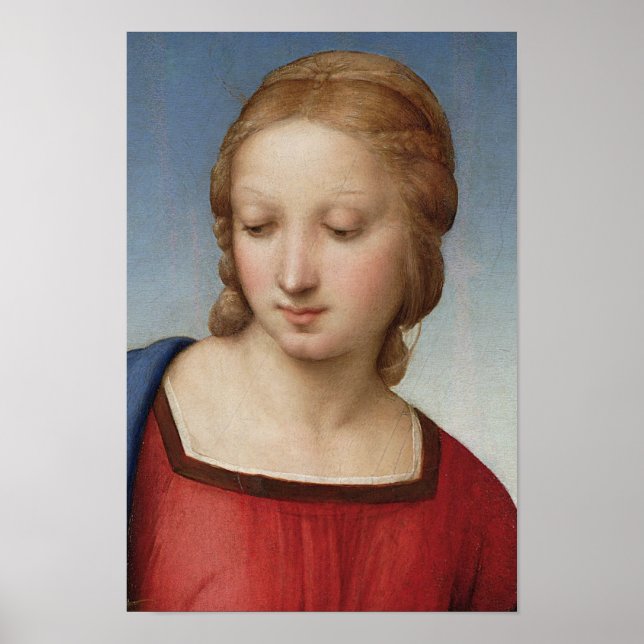 Poster Raphael Madonna Goldfinch (détail) Art fine (Devant)