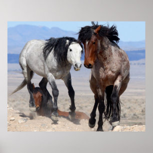 Poster Rapide et furieux