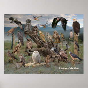 Poster Raptors du 2019 occidental