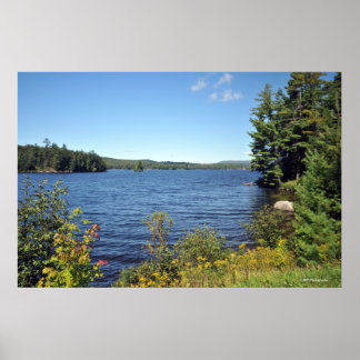 Poster Raquette Lank in the Adirondack print 08 229
