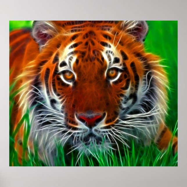 Poster Rare Sumatran Tiger d'Indonésie (Devant)