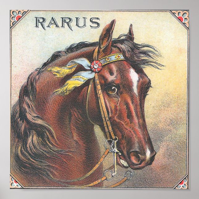 Poster Rarus Vintage Racehorse Portrait (Devant)