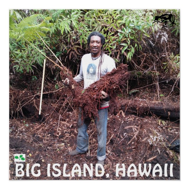 POSTER RASTA FARMER AVEC HAPUU FERN (Devant)