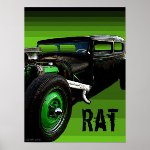 Poster Rat