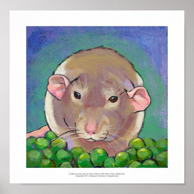 Poster Rat gris blanc peint art amusant (Devant)