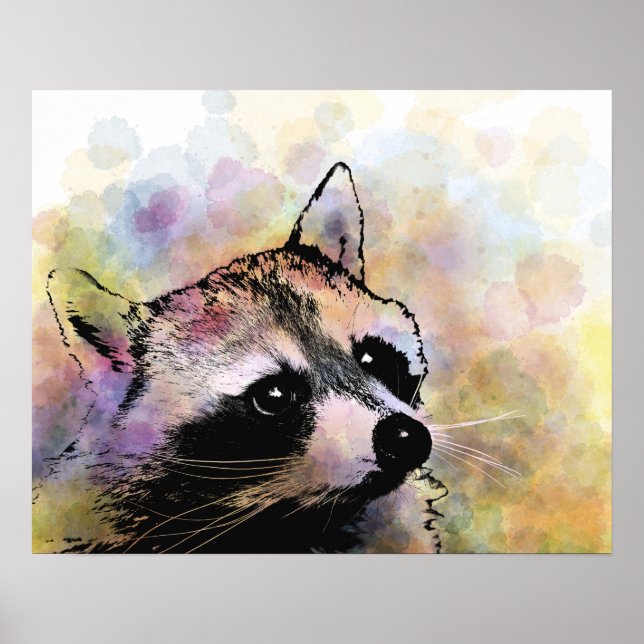 Poster raton laveur 23 (Devant)