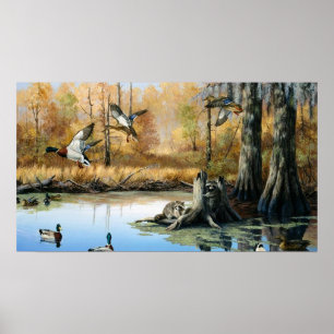 Poster Raton laveurs envahissent l'étang aux canards