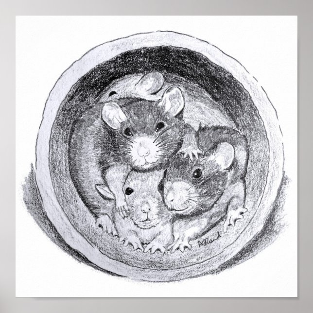 Poster Rats de tube (Devant)