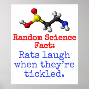 Poster Rats rient quand ils sont chatouillés - Science Fa
