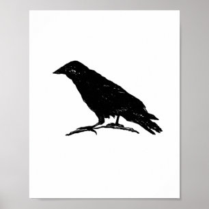 Poster Raven Black Bird Éffrayant Halloween Peinture