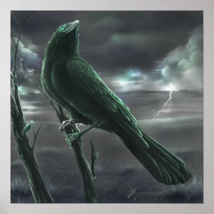 Poster Raven bot