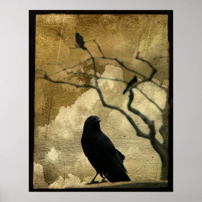 Poster Ravens (Devant)
