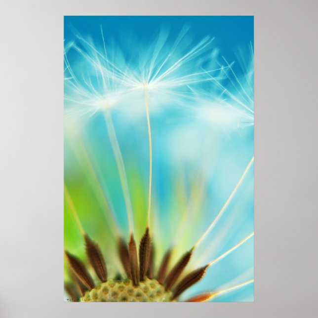 Poster Rayons de lait (Devant)