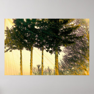 Poster Rayons d'espoir
