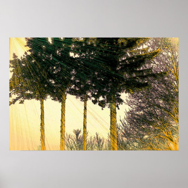 Poster Rayons d'espoir (Devant)