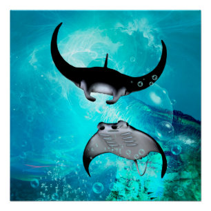 Poster Rayons manta de natation