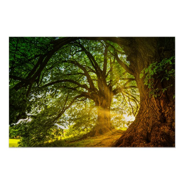 Poster rayons solaires (Devant)