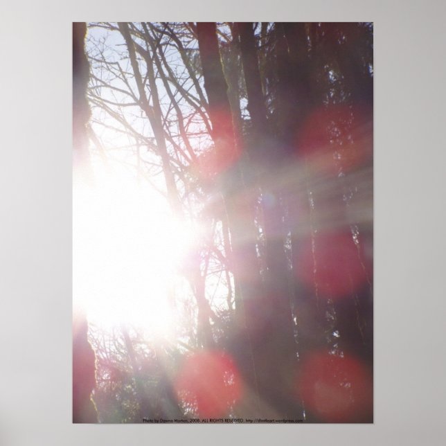 Poster Rayons Solaires Tôt Le Matin #28 (Devant)