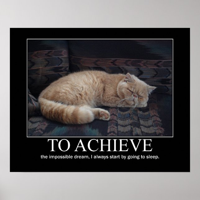 Poster Réalisation de l'oeuvre impossible Dream Cat (Devant)