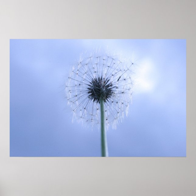 Poster Réaliser les voeux (Devant)