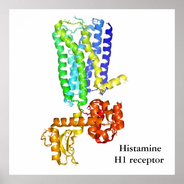 Poster Récepteur d'histamine (Devant)