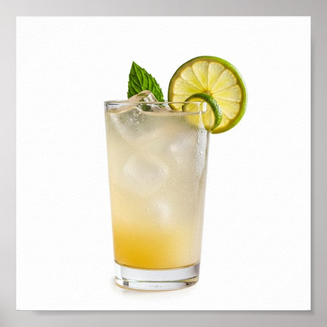 Poster Recette Gin Fizz (Devant)