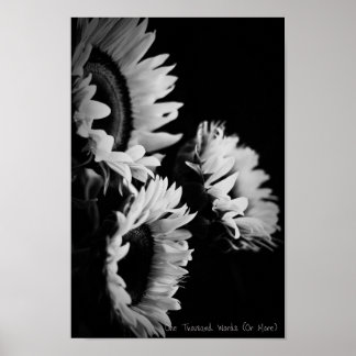 Poster Recherche
