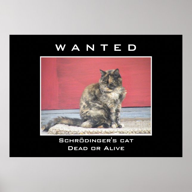 Poster Recherché (Devant)