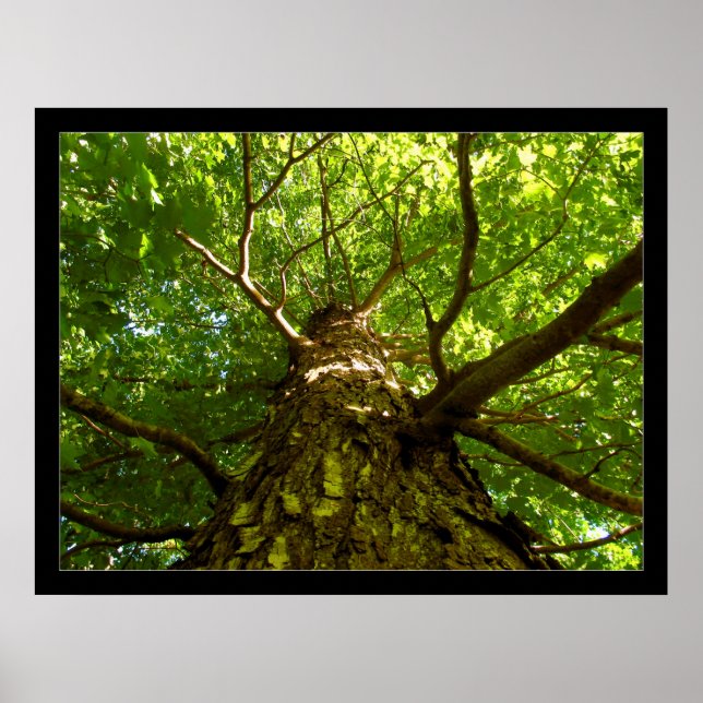 Poster Recherche (Devant)