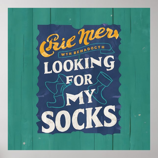Poster Recherche De Chaussettes (Devant)