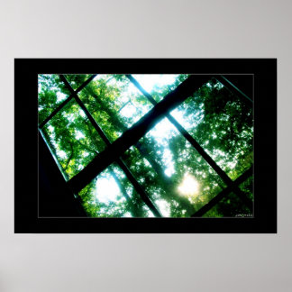 Poster recherche de liberté