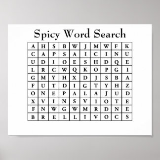 Poster Recherche de mots épicés