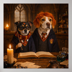 Poster "Recherche Magique"