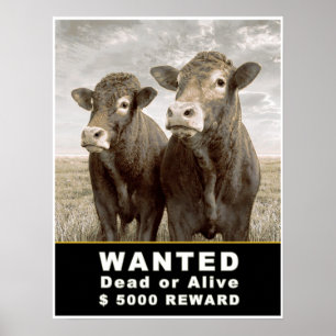 Poster RECHERCHÉ mort ou vivant 5000 $ RÉCOMPENSE