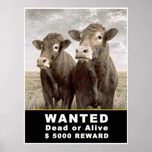 Poster RECHERCHÉ mort ou vivant 5000 $ RÉCOMPENSE (Devant)