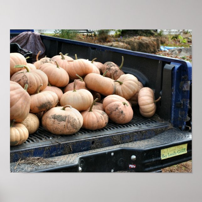 Poster Récolte citrouille Sur Camion De Récolte Automne (Devant)