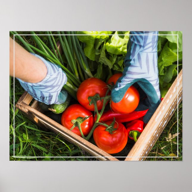 Poster Récolte d'affiches (Devant)