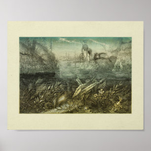 Poster Récolte d'algues Exploreurs de couleur Art Imprime