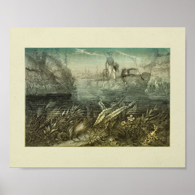 Poster Récolte d'algues Exploreurs de couleur Art Imprime (Devant)