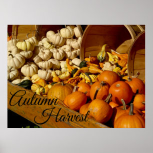Poster Récolte d'automne