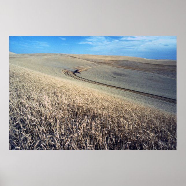 Poster Récolte de blé (Devant)