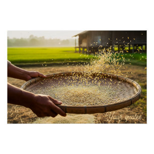Poster Récolte de grains, rizière