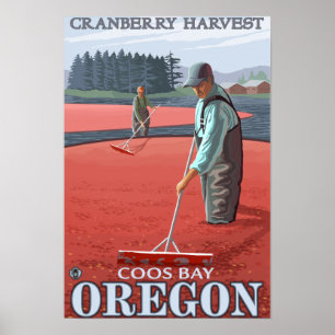 Poster Récolte de la canneberge - Coos Bay, Oregon