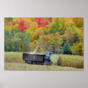 Poster Récolte de maïs dans le Vermont