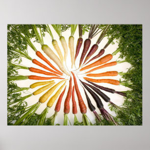 Poster rectangulaire Arc-en-ciel multicolore Carot